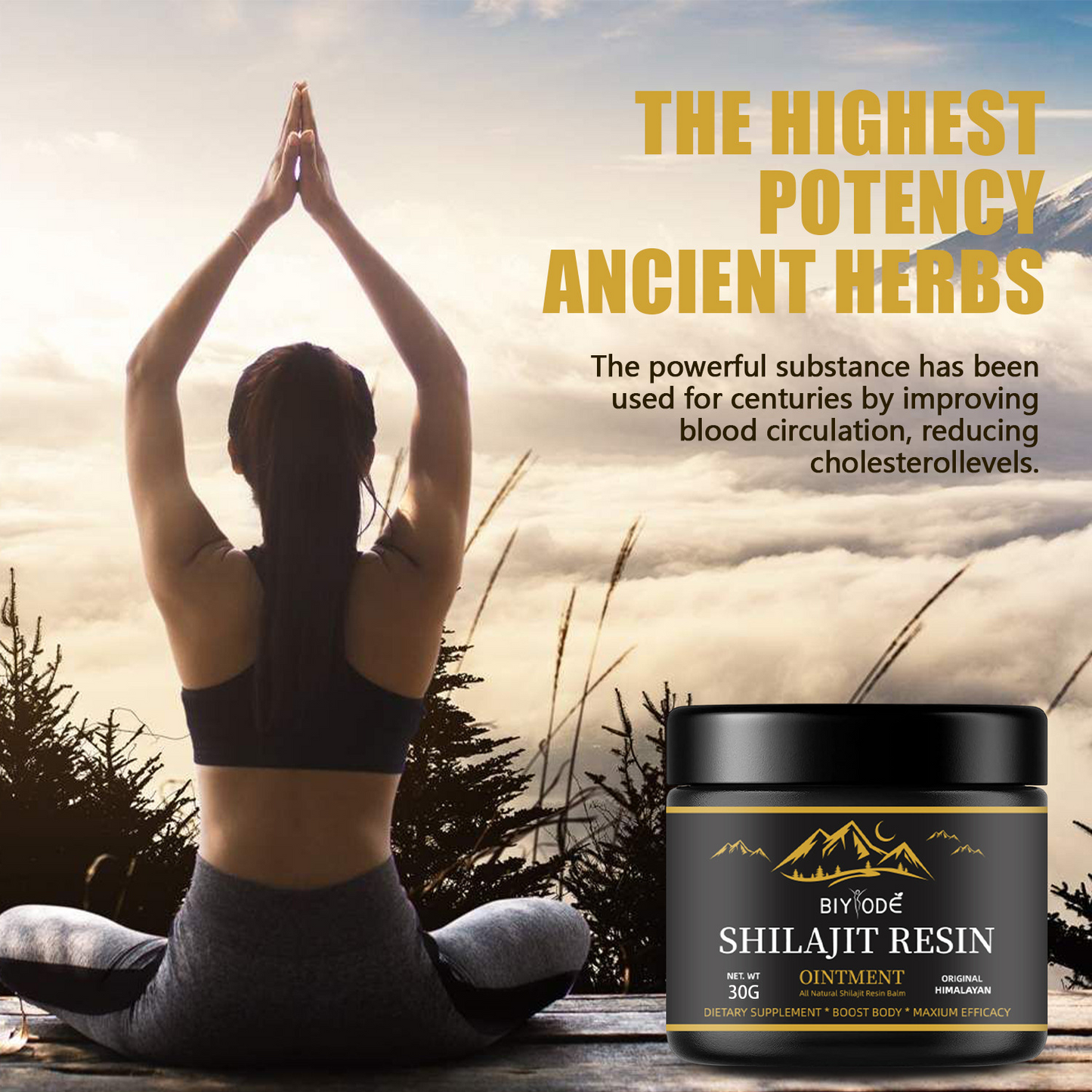 Shilajit Harz – 30g (Himalaya Qualität)