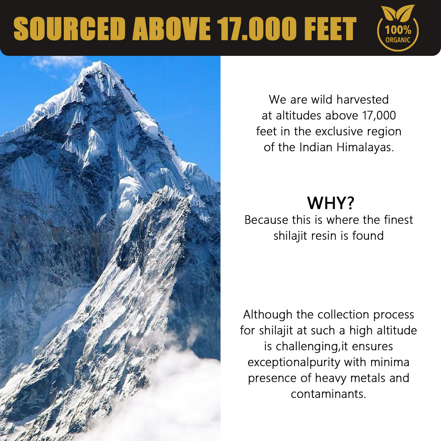Shilajit Harz – 30g (Himalaya Qualität)