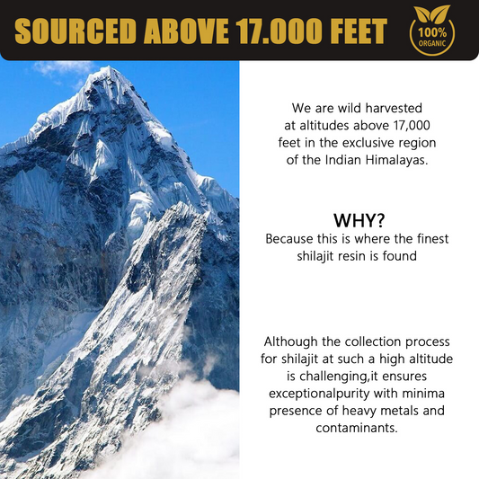 Shilajit Harz – 30g (Himalaya Qualität)