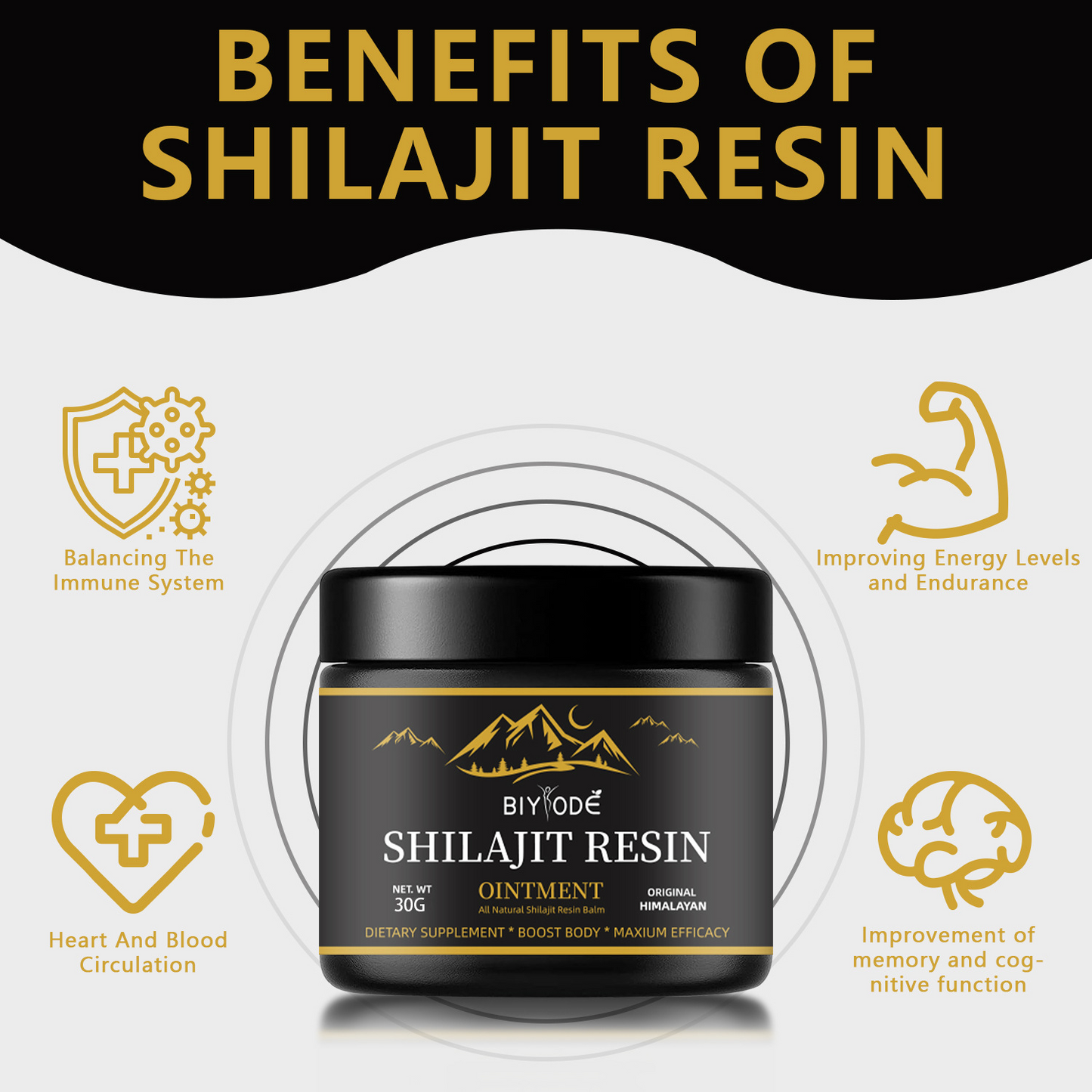 Shilajit Harz – 30g (Himalaya Qualität)